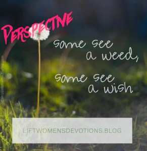 5AB91C3C-A1A2-4330-8AC5-8370D9DE869C